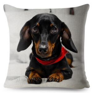 Cushion cover cute miniature dachshund