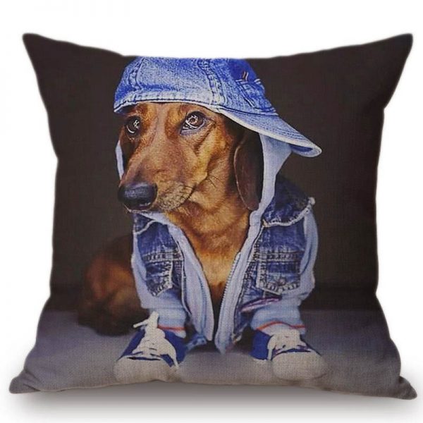 cushion cover dog in jeans