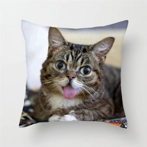 cat themed cushion cover