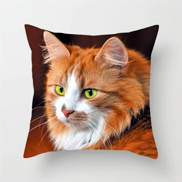 ginger cat gift